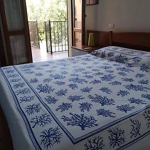 https://holiday-in-sardinia-in-pula-at-the-sea-of-nora.in-sardinia.net